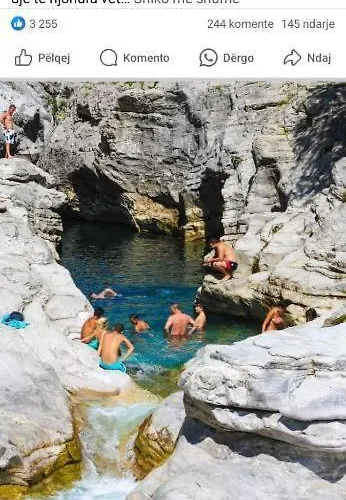 Oasis
