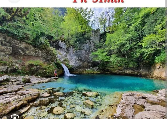 Oasis * New Shtoj