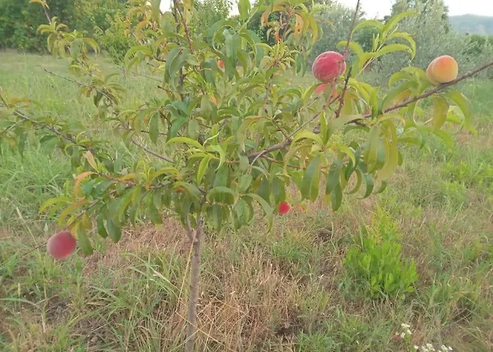 别墅 Oasis New Shtoj