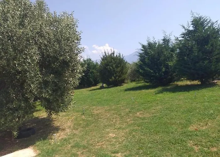 Oasis 别墅 New Shtoj